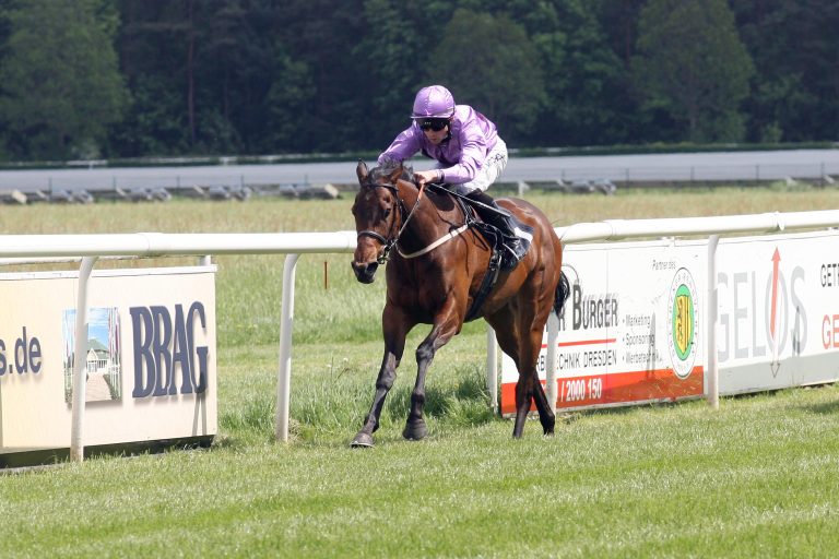 Sieben Rennen am Samstag in Dresden