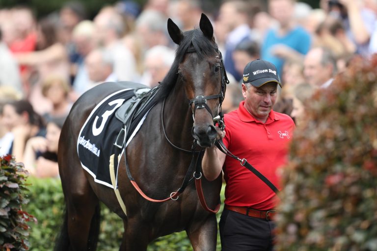 Schmitts Alkuin im Cagnes-Grand Prix