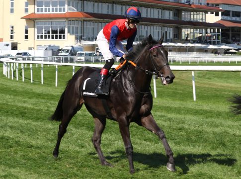 Suborics-Wallach Antharis Listenfünfter in Chantilly 