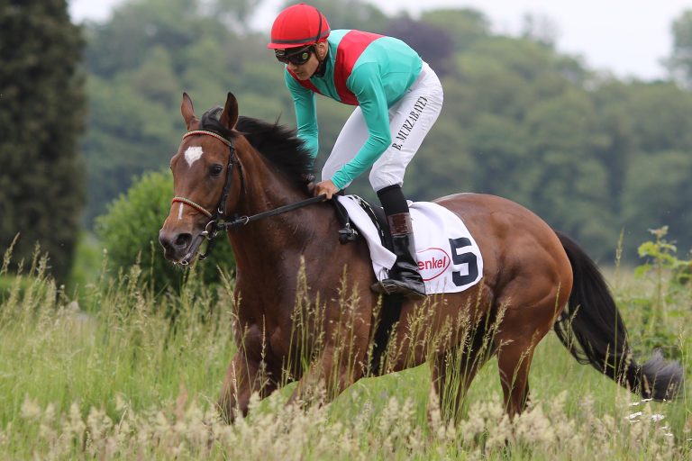 Noch neun Stuten in der Mehl-Mülhens-Trophy