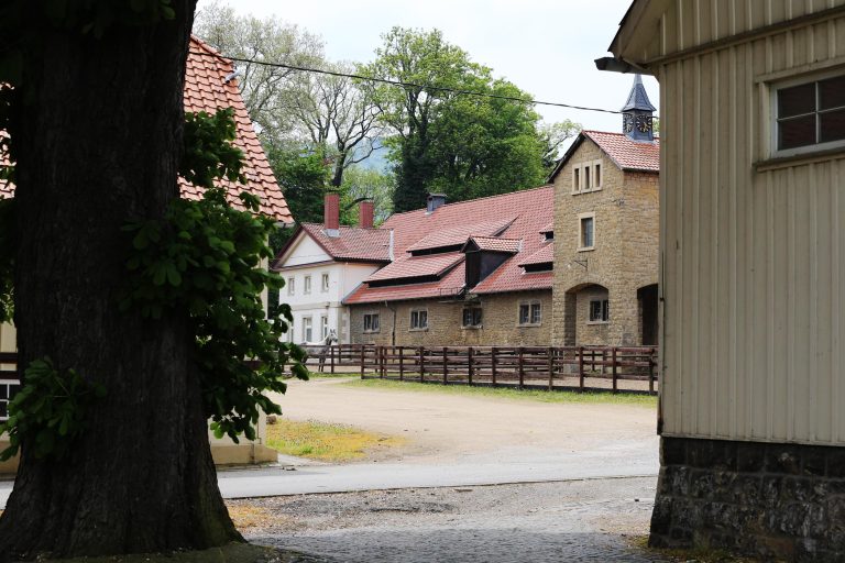 Fair Friend unversehrt wieder aufgetaucht