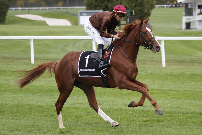 Ladykiller mit Dubai Gold Cup-Nennung