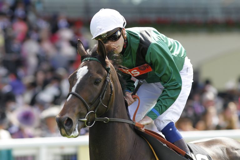 Limato beendet Karriere