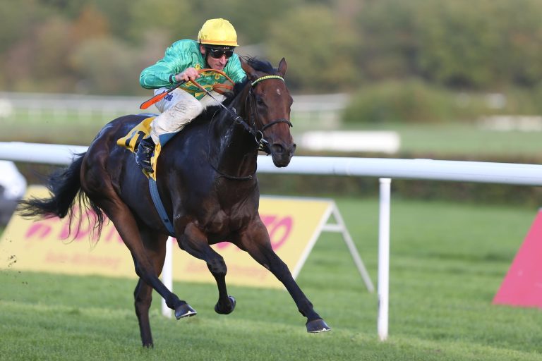 Acht Stuten starten im Schwarzgold-Rennen