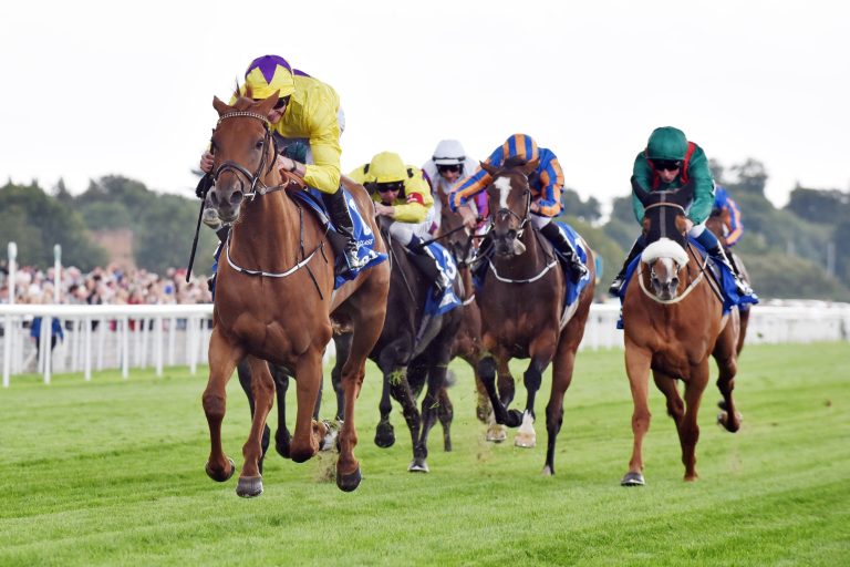 Die Klassestute Sea Of Class lebt nicht mehr