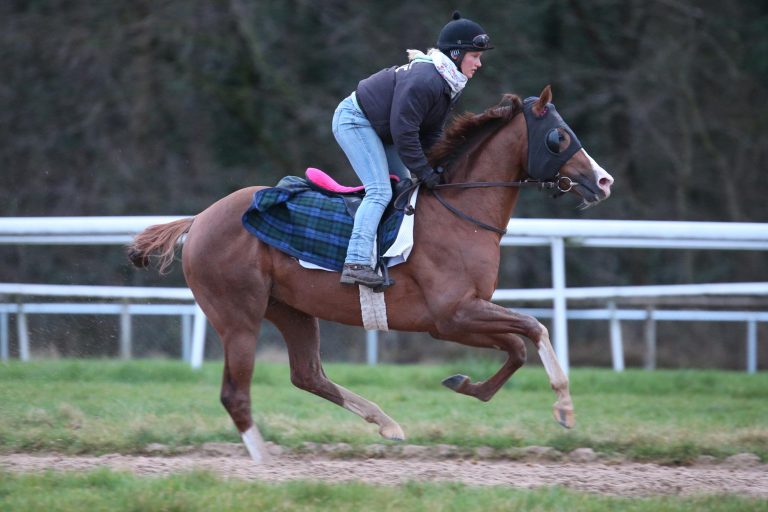 Noch vier Gruppe I-Sieger im Gerling-Preis