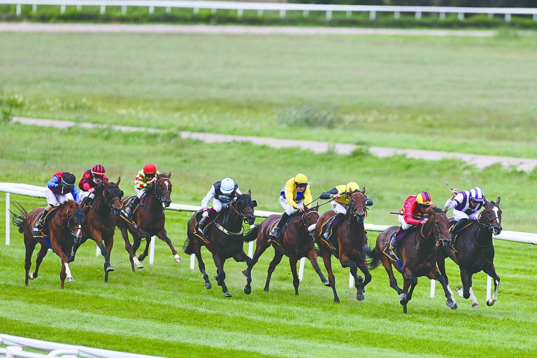 Sommelier beim Sieg im Steher-Cup