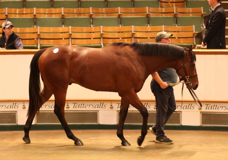 Scat Daddy dominiert in Newmarket