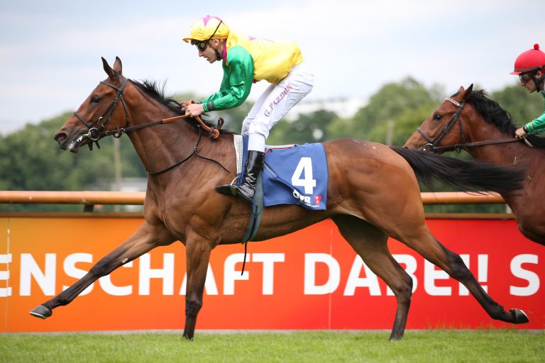 Kölner Zweijährigen-Trophy am Freitag