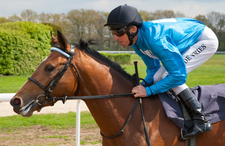 Rosenpurpur gewinnt Lomitas Derby Trial