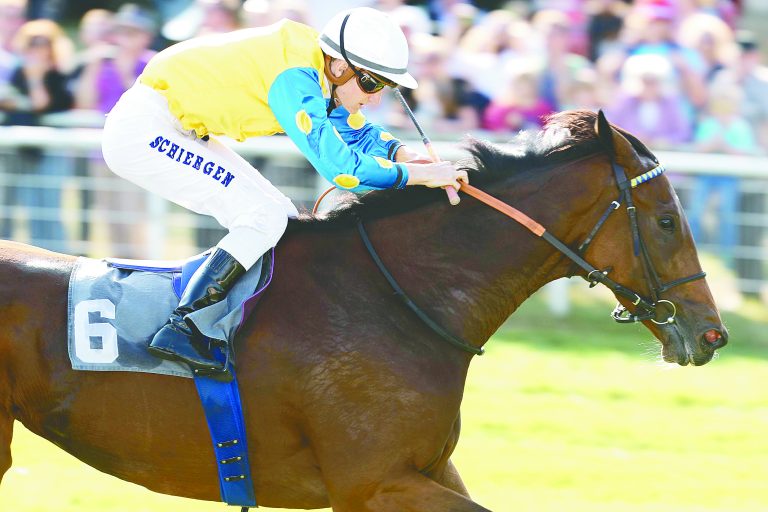 Sieben Rennen zum Dirt-Start in Dortmund