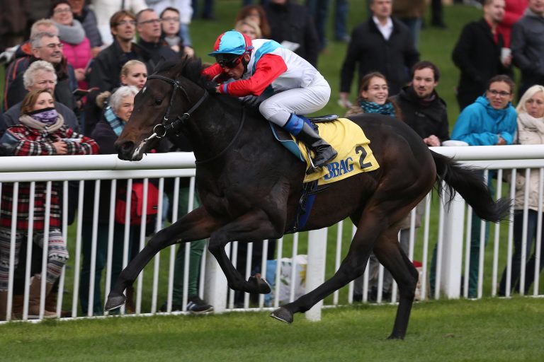 Noch acht Pferde in der Meilen-Trophy