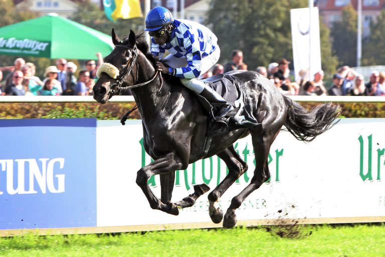 Das etwas andere Rennpferd