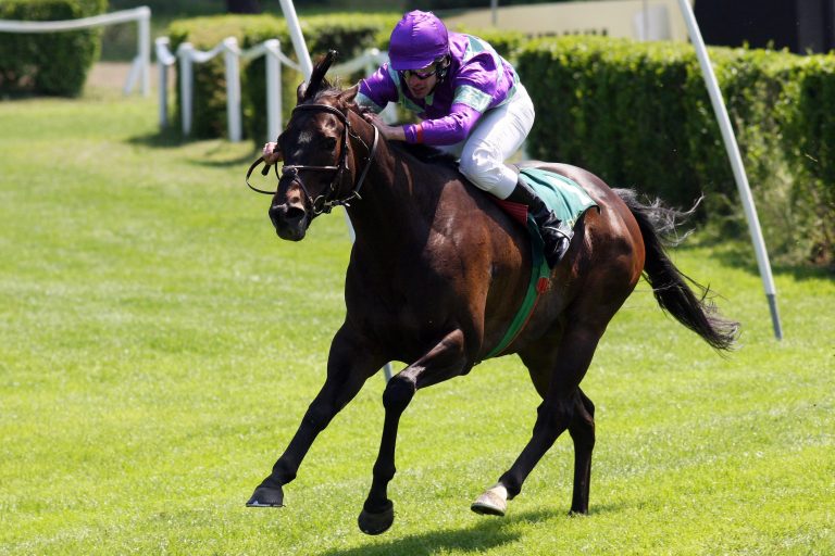 Four-Timer! „Neuss-Spezi“ Beacon Hill siegt auch in Mons