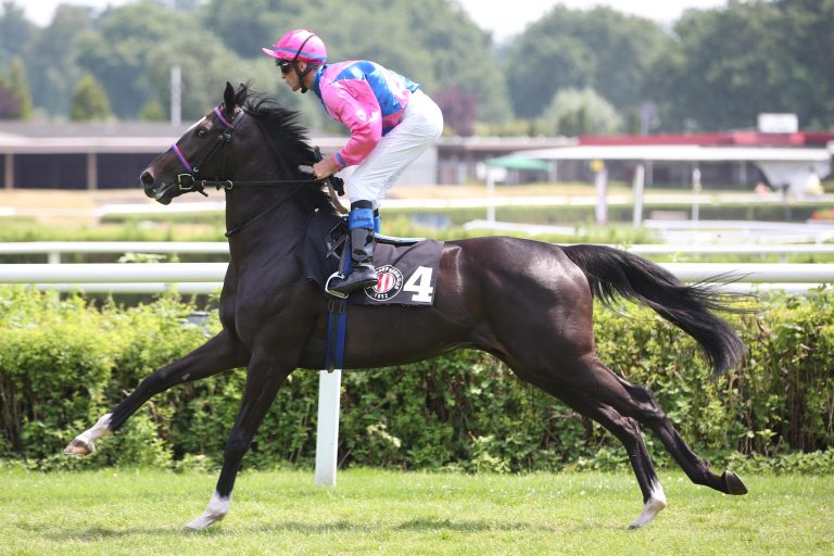 Der Kampf um den Stuten-Thron beginnt