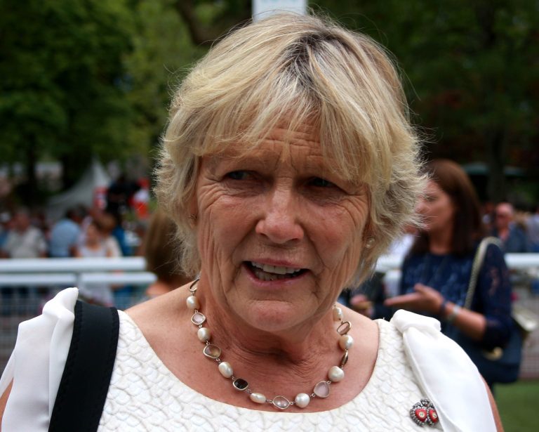 Pferde vertauscht – Verwechslung in Galway