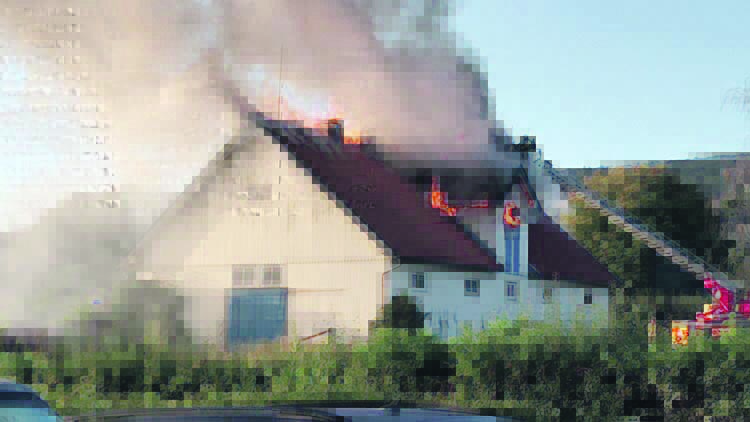 Defektes Stromkabel Ursache für Gestüt Harzburg-Brand