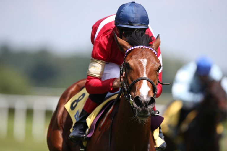 Rope A Dope unglücklich im Prix du Bois