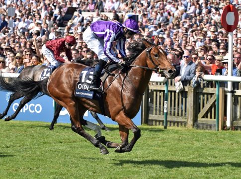 Mutter von Saxon Warrior - Coolmores Maybe lebt nicht mehr Saxon Warrior