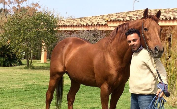 Epsom Derby-Sieger Dr Devious abgetreten