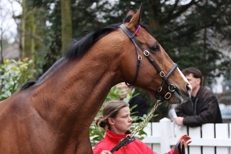 Interessante Besitzerwechsel bei Arqana