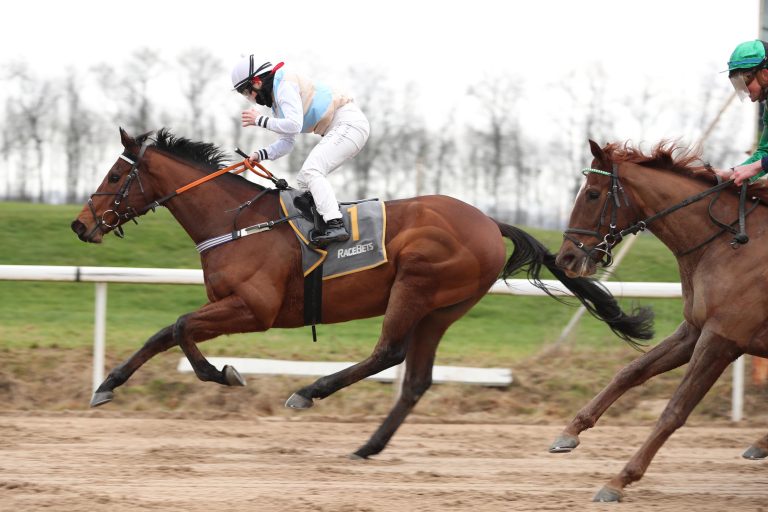 Weihnachtsgeschenk in der Viererwette?