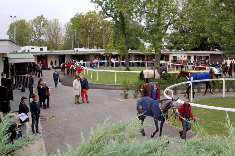 Unglaubliche Trainer-Form – Simona gewinnt Prix Exbury