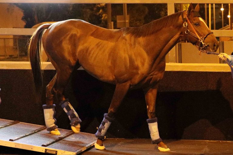 Salomina-Sohn in der „Mile“ gegen Golden Sixty