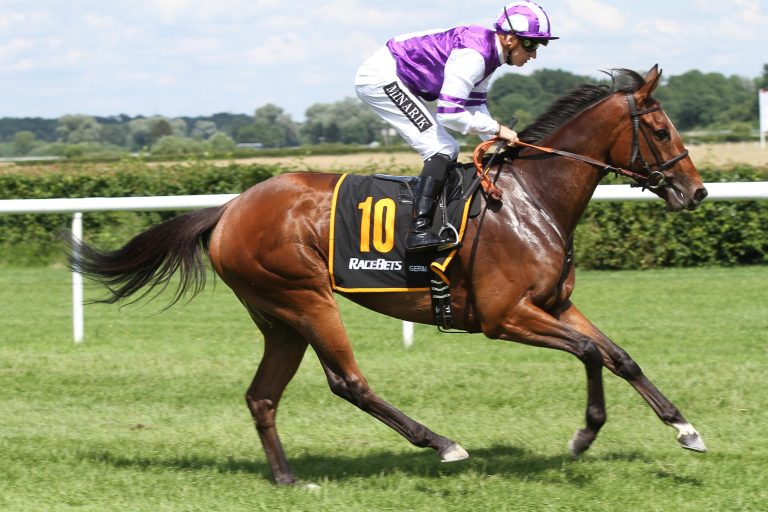 Salve Stella siegt, Montepulciano enttäuscht