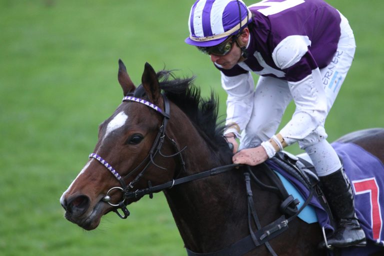 Salve Venezia spannt Wetter auf die Folter