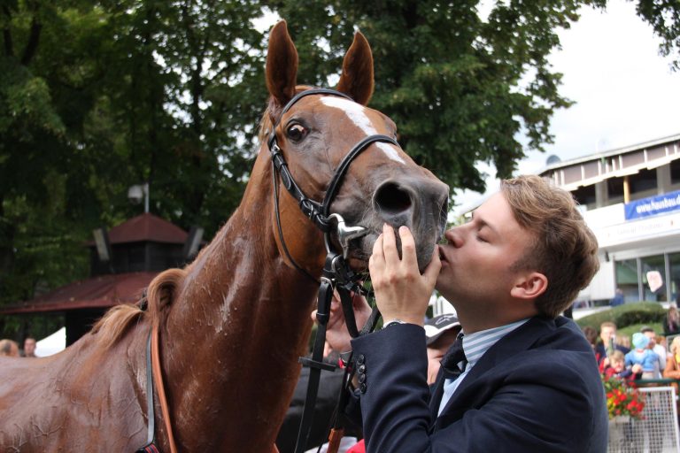 Samba Brazil eine Top-Offerte bei der Arqana-Auktion