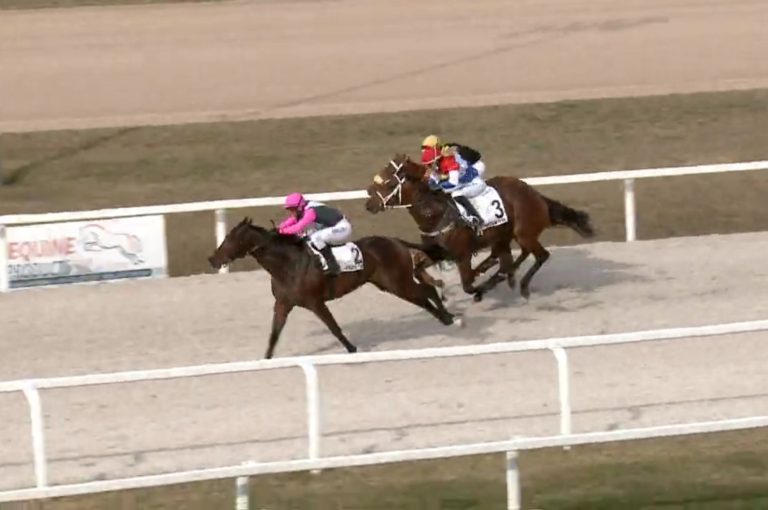 Sambo Foto: Screenshot