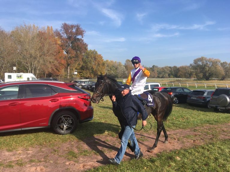 Das sind die Pläne mit Schiergens Top-Dreijährigen