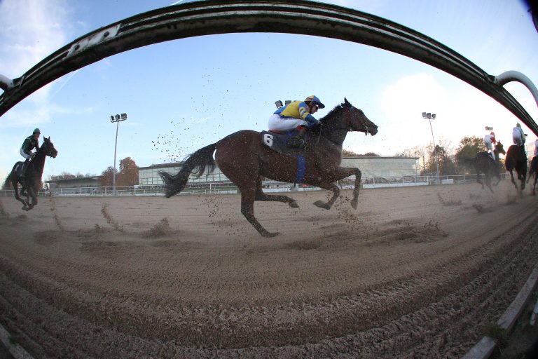 Karlshoferin La Force Dritte in den La Canada Stakes (Gr.II)