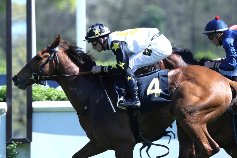 Santiano einen Tick schneller als Favorit Gepard