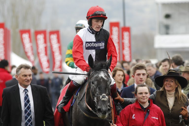 Saphir Du Rheu zurück auf die Hürdenbahn