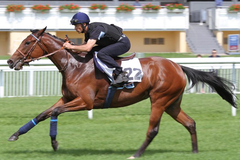 Maxios-Tochter der Top-Seller bei der BBAG