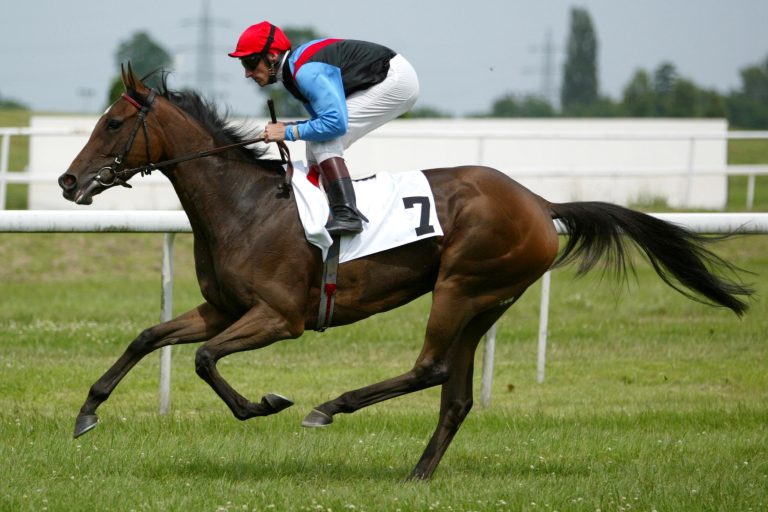 Fadillah komplettiert die Woche der „Blaublütler“