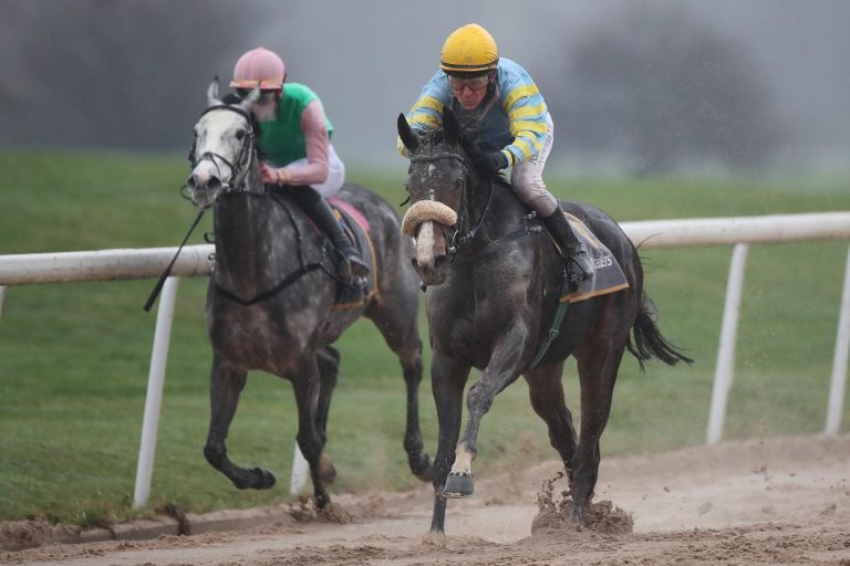 Kleine Überraschung – Saxonia putzt Cheshmeh