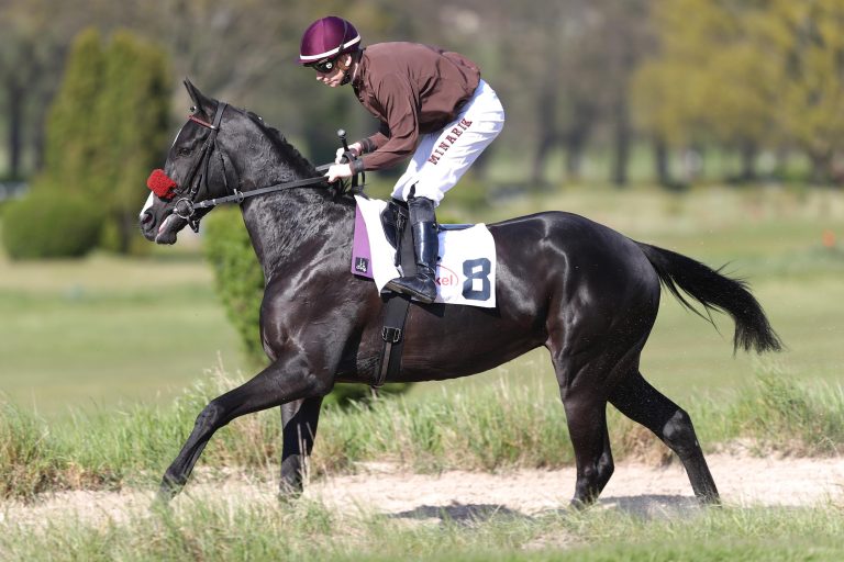 Kölner Dreierwette im Dresdner Auktionsrennen