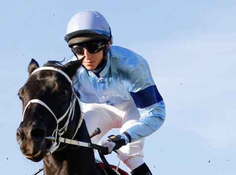 T. Scardino: „Halskrause kann hoffentlich bald ab“