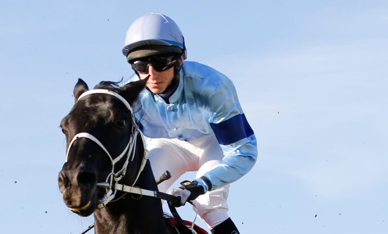 Turfchampionat Südwest: Sieger stehen fest