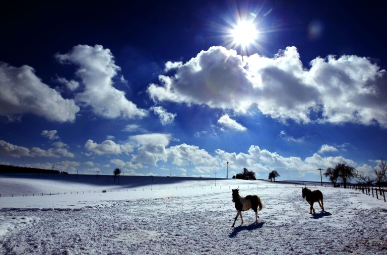 Renntage in Arosa abgesagt