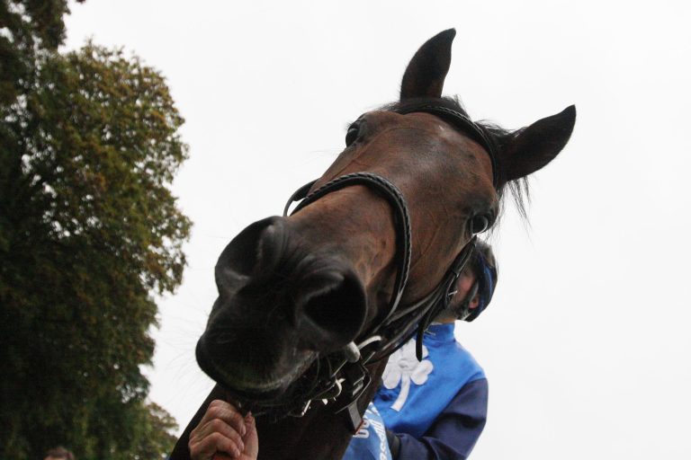 Sonntag in Arosa: Start der Saison in der Schweiz