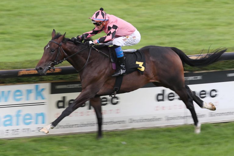 Die Zukunft der verkauften Top-Pferde