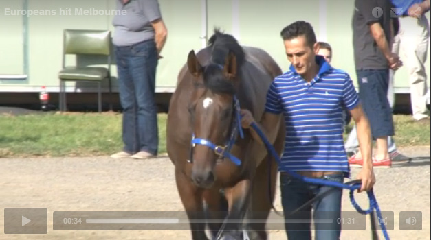Ankunft von Nuntius und Protectionist in Australien