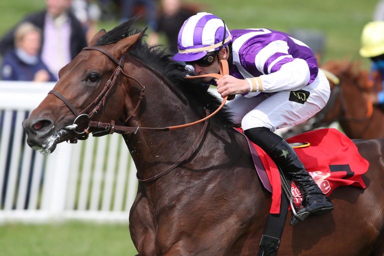 Sea Of Sands (Archiv)