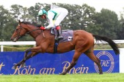 Derby-Ranking: Lucky Lion mit der 1, Coolmore an Nr.5