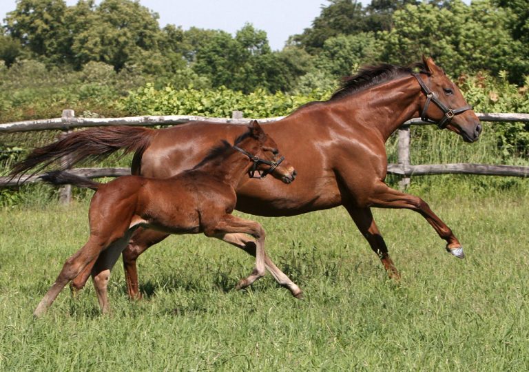 Sea The Moon mit seiner Mutter Sanwa
