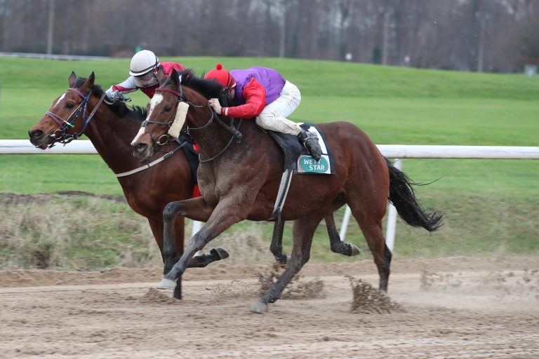 Second Sight (vorne) besiegt Why's Whyoming